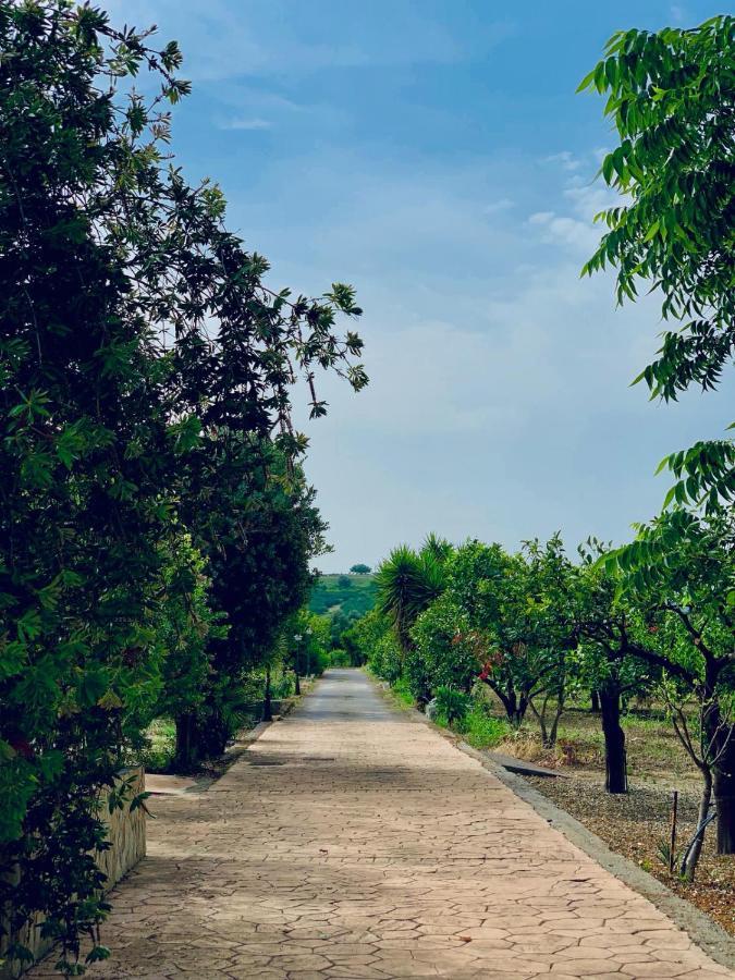 Il Giardino Delle Zagare Calatabiano Exterior photo